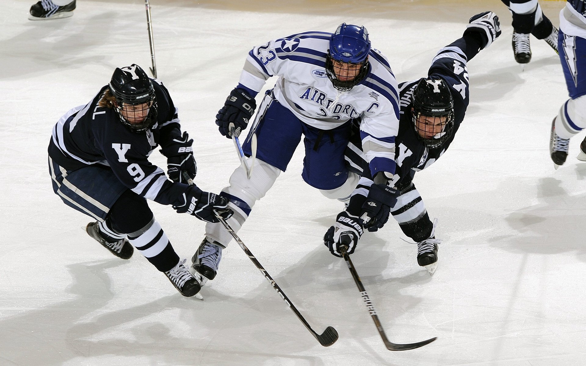 体育新闻中心开展体育新闻职业技能提升培训，体育技能大赛新闻稿